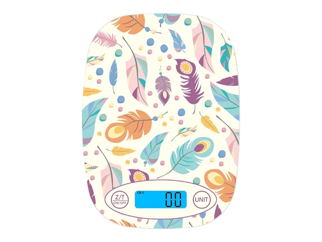 Model No.: TY-BF6020  ( include led backlight  & can add USB recharging function )