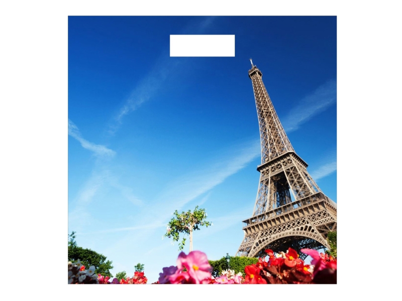 Model No.: TY-BF9002   (show room temperature & can add USB recharging function)